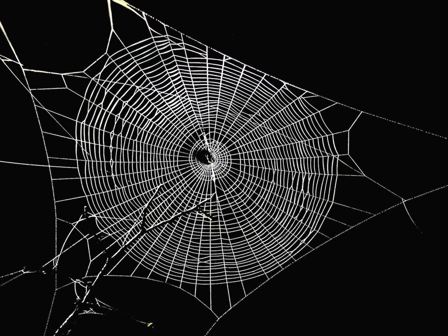 Aave Gauges Community Interest for Expansion to Bitcoin Layer 2 Spiderchain