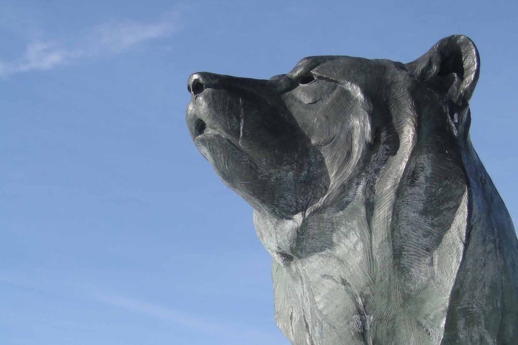 Berachain App Boyco Goes Live With .2B in ‘Pre-Deposits’