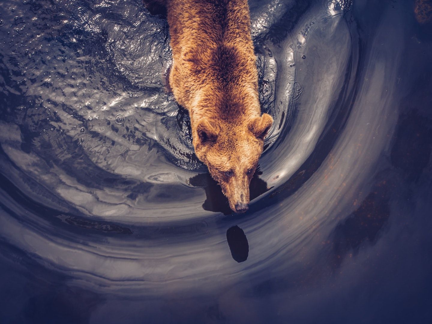 Bitcoin Drops to ,000 as Long-Term Holders Keep Taking Profit