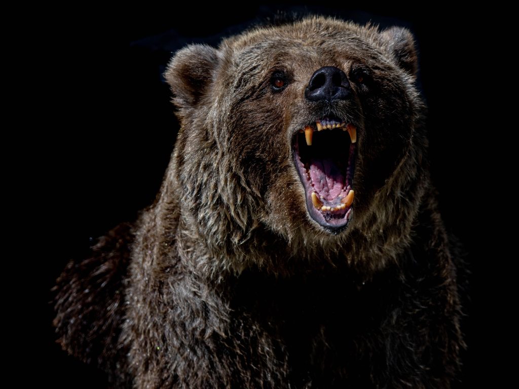 Bitcoin Plunges Below K after 5B Sell-Off Wipes Out Weekly Gains