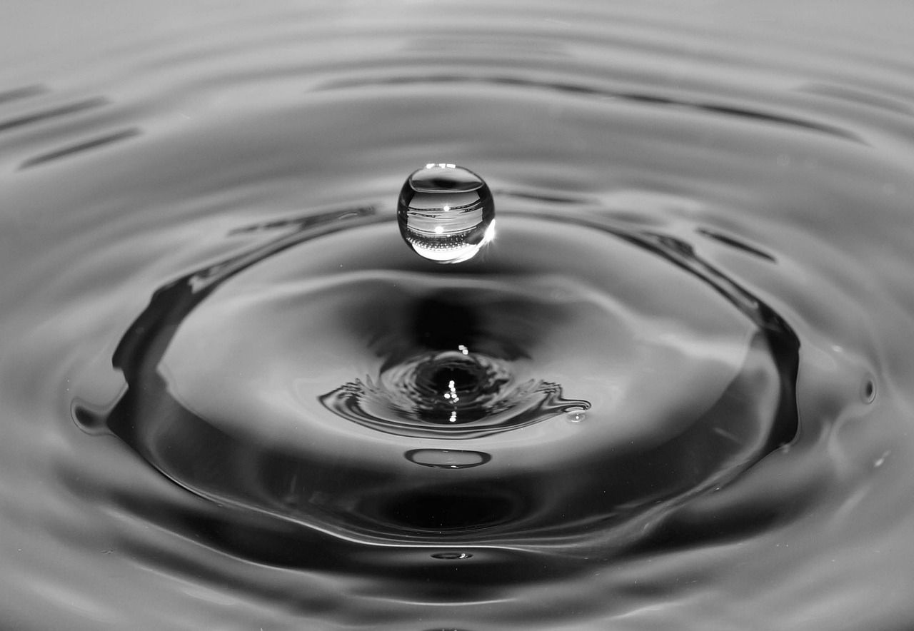 BlackRock’s Bitcoin ETF Drops Most in 4 Months Amid Quantum Computing FUD