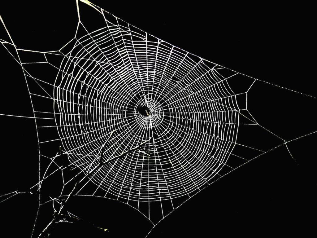 Botanix Labs’ Mission to Bring Bitcoin to Defi Moves to Final Testnet Phase