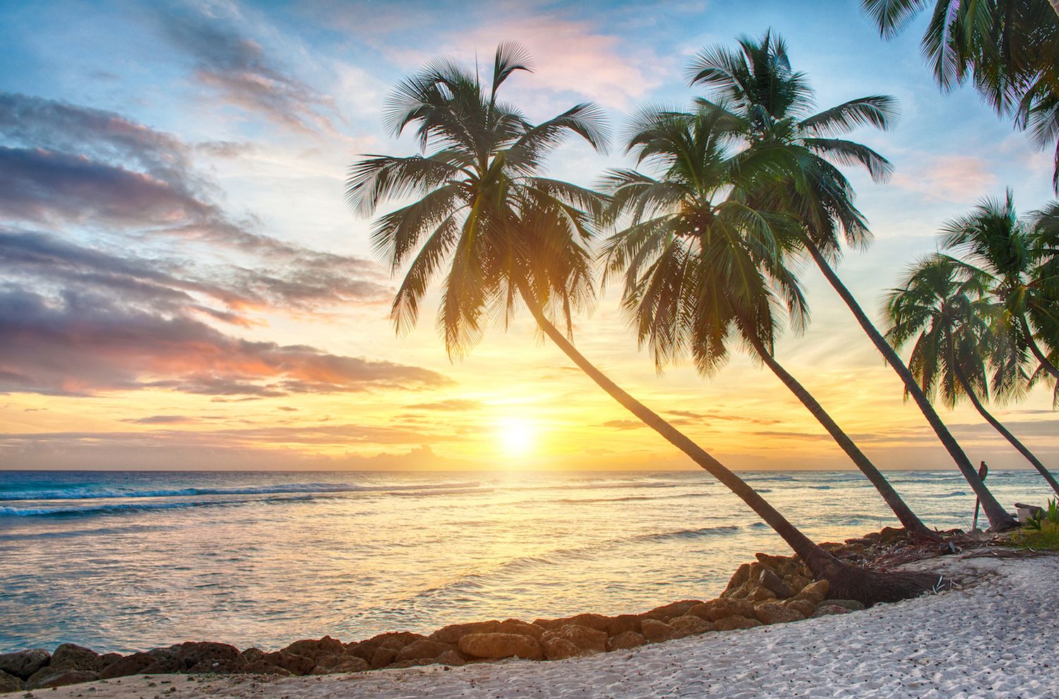 Former Bittrex Execs Raise M in Bitcoin to Back Barbados-Licensed Insurance Firm
