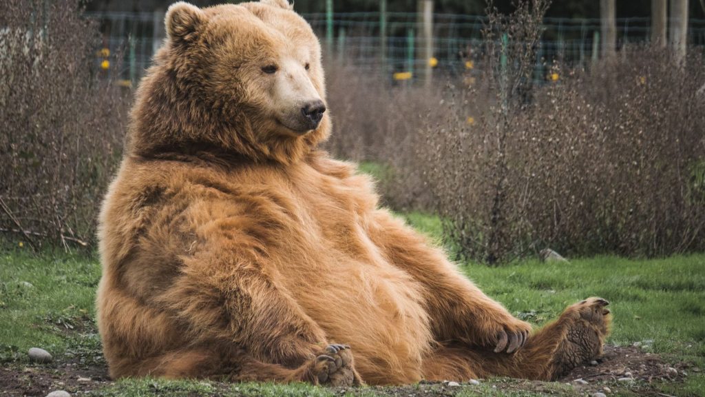 Major U-Turn in Crypto Markets Sends Bitcoin Back Below K