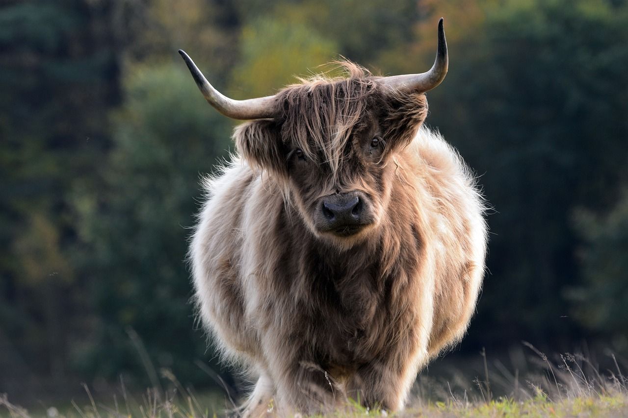 March Jobs Report a ‘Heads I Win, Tails You Lose’ Moment for Bitcoin Bulls