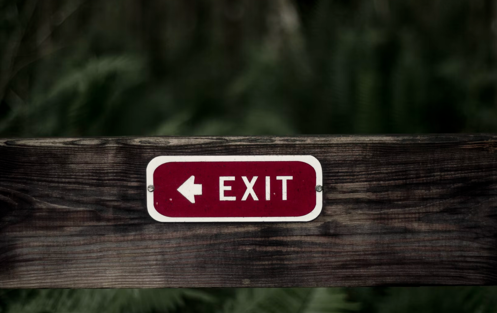 Memecoin Craze Is ‘Unquestionably Over’ as Crypto Heads Towards Maturation, Nic Carter Says