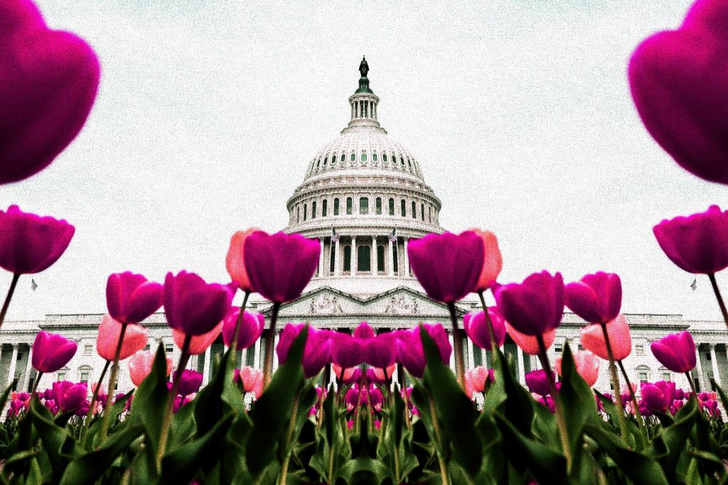 U.S. Added 227K Jobs in November, Topping Estimates for 200K