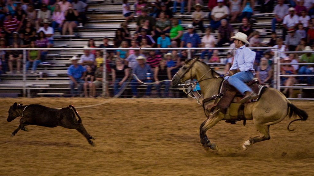 U.S. SEC Loses Crypto Lawsuit Over ‘Dealer’ Definition That Pushed Into Crypto