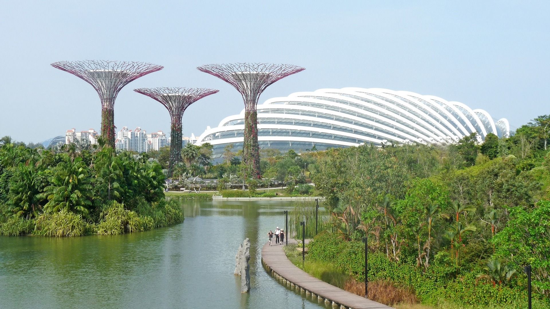 WazirX Wins Approval From Singapore Court to Repay Users Following  0M Hack